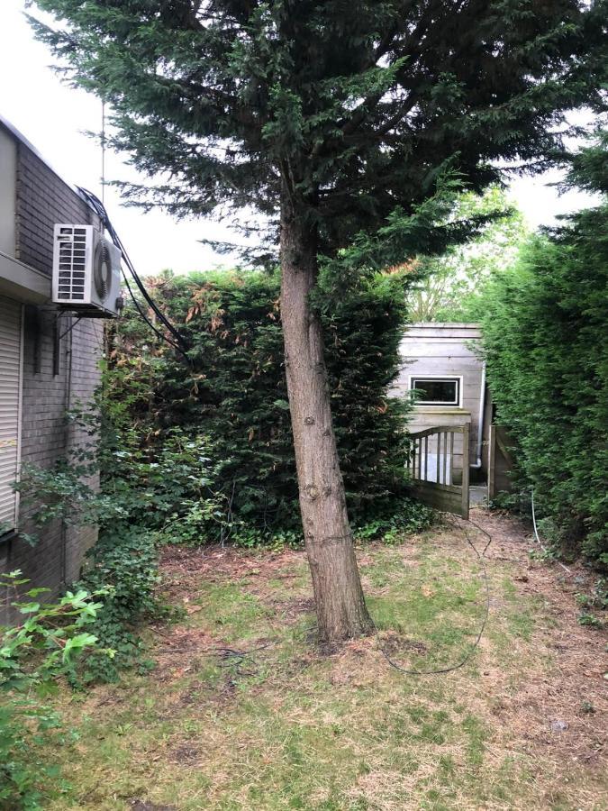 Knus Appartement Aan De Kust Strand Zee Havens Yerseke Exteriör bild