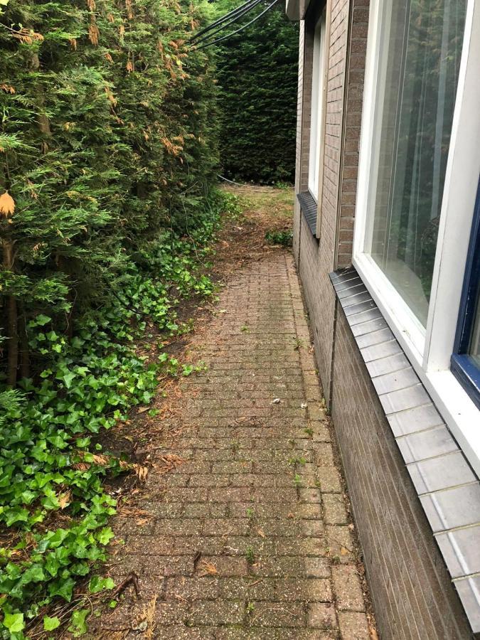 Knus Appartement Aan De Kust Strand Zee Havens Yerseke Exteriör bild